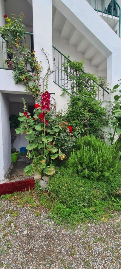Da Ersilia Apartamento Cernobbio Exterior foto